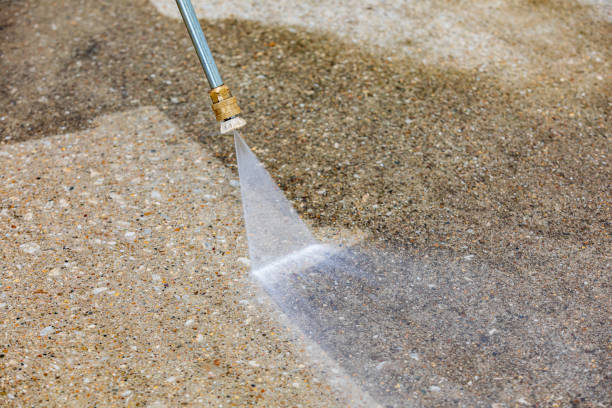 Best Soft Washing  in Feather Sound, FL