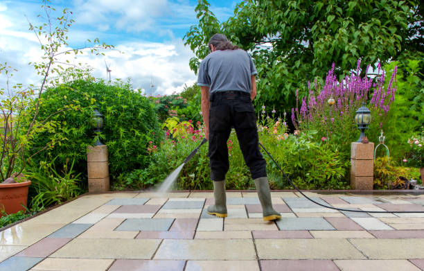 Best Driveway Pressure Washing  in Feather Sound, FL