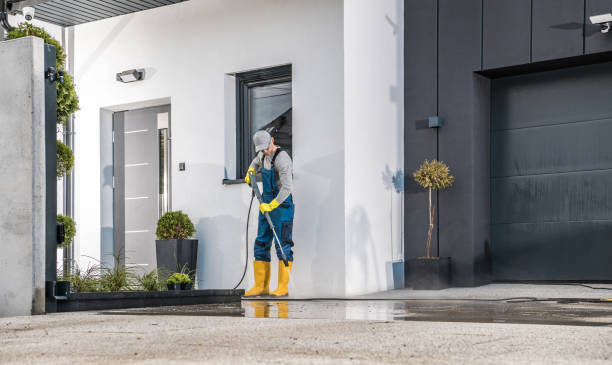 Best Driveway Pressure Washing  in Feather Sound, FL